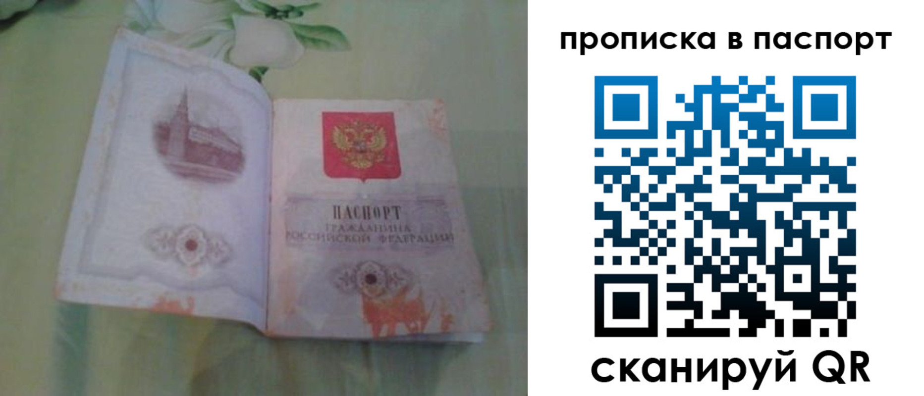 прописка для школы в Шуе